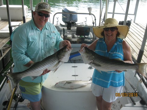 Nice Striped Bass